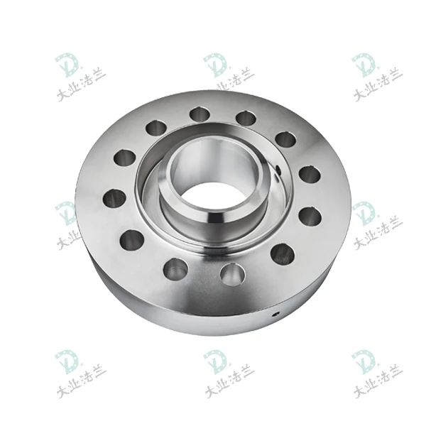 Forged SS Non-standard Flange