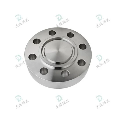 Super Duplex Steel 2507 Blind Flange