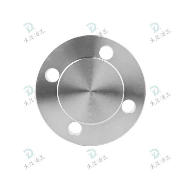 Super Duplex Steel 2507 Blind Flange suppliers