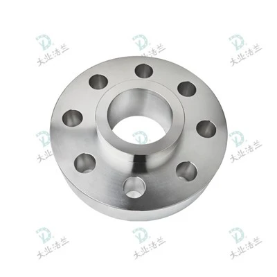 SS 304L Lap Joint Flange
